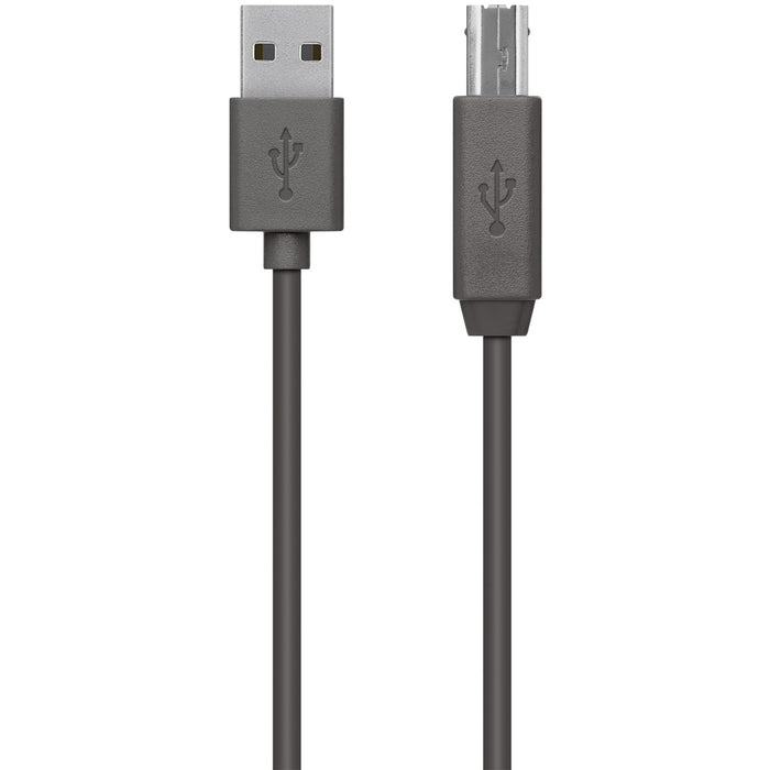 Belkin USB Data Transfer Cable - 9.84 ft USB Data Transfer Cable - Type A USB - Type B USB